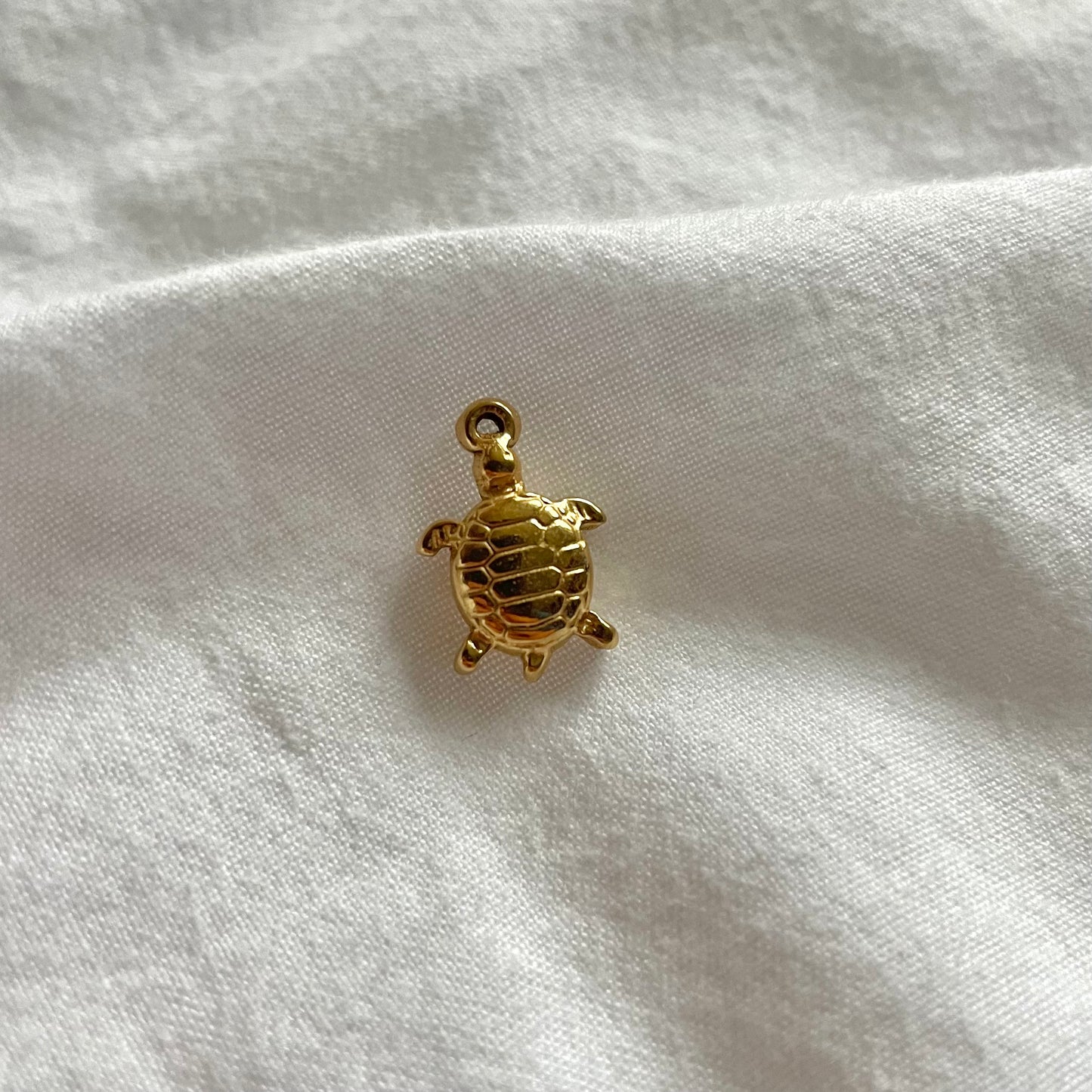 Charm: Gouden schildpad