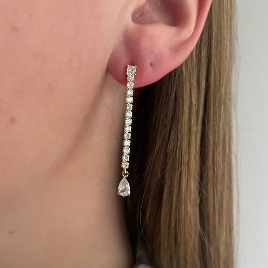 Shiny earrings