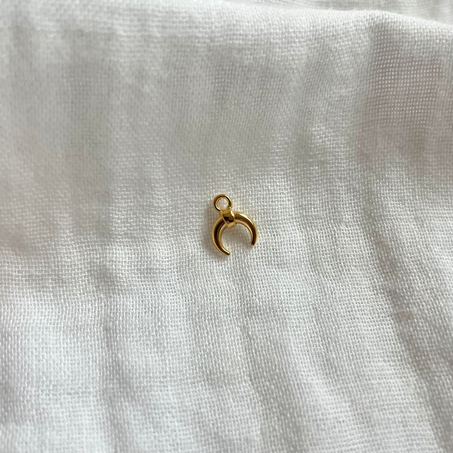 Charm: hoorns