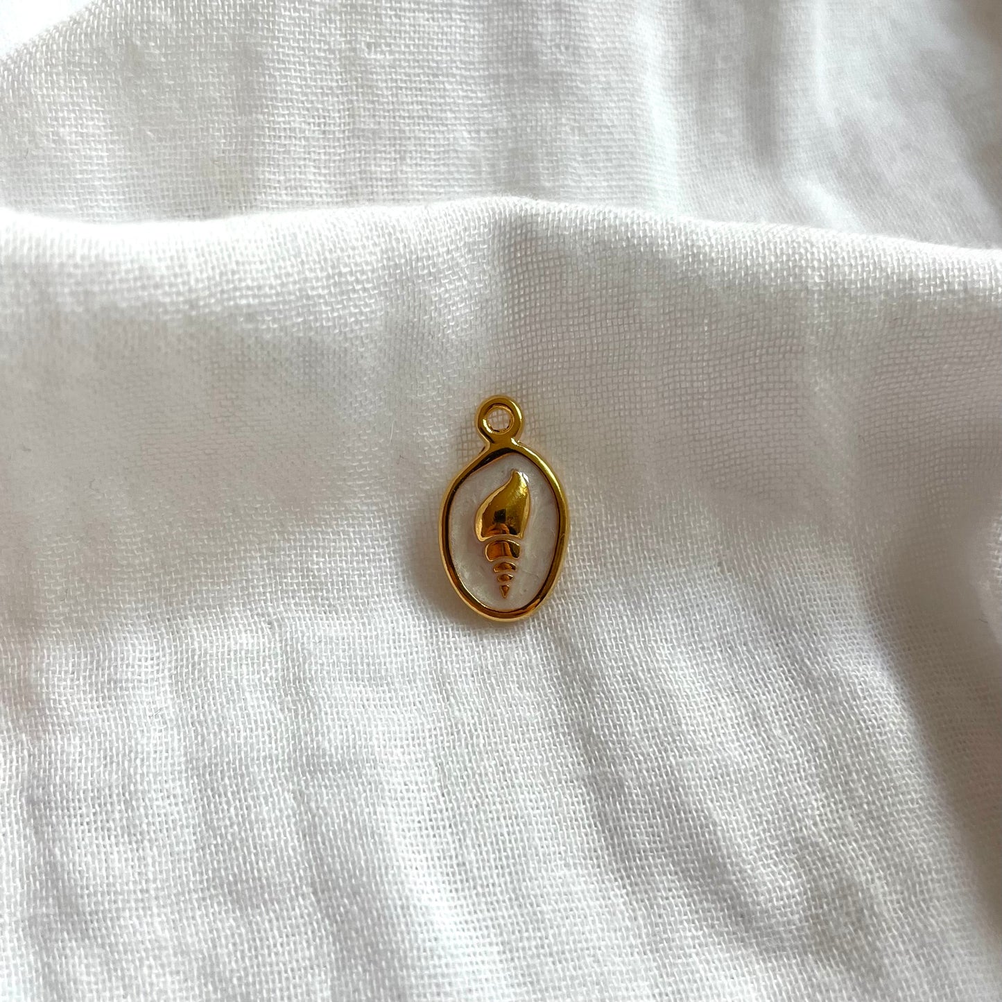 Charm: witte zeeschelp