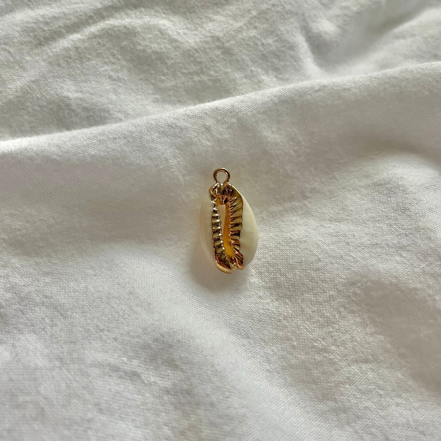 Charm: Witte zeeschelp