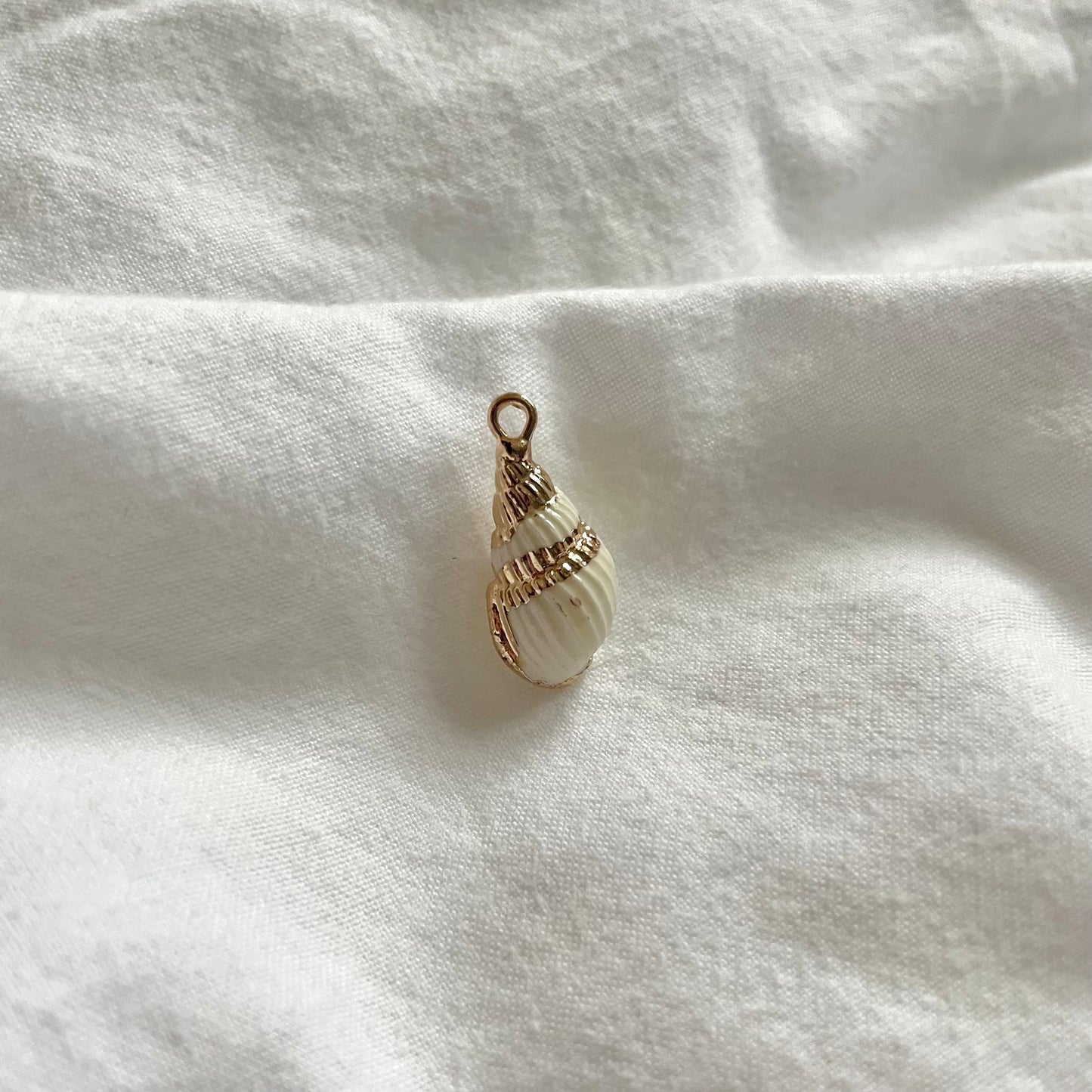 Charm: Witte zeeschelp