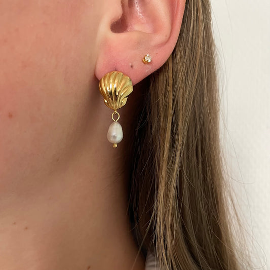 Pearl-shell earrings