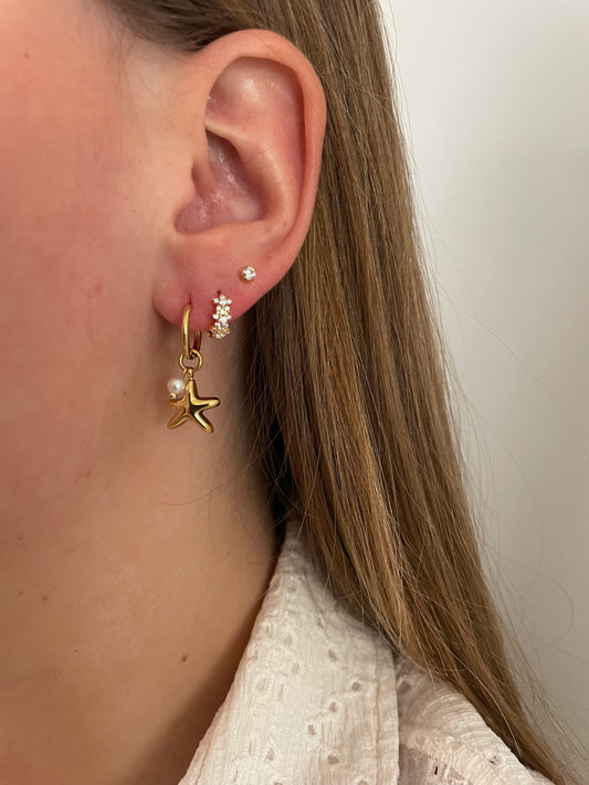 Starfish earrings