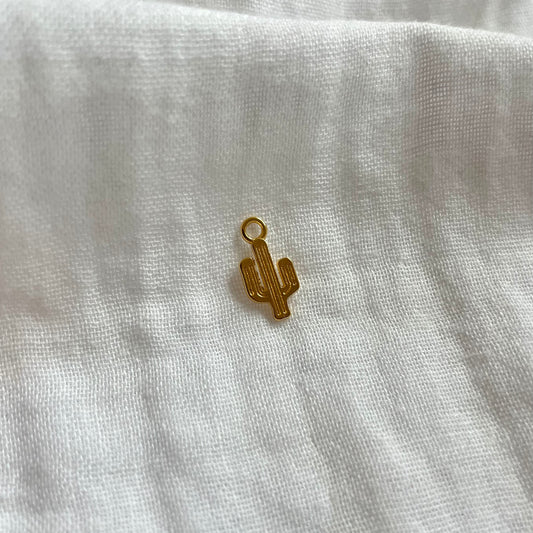 Charm: Cactus